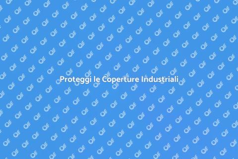 Sicurezza delle Coperture Industriali