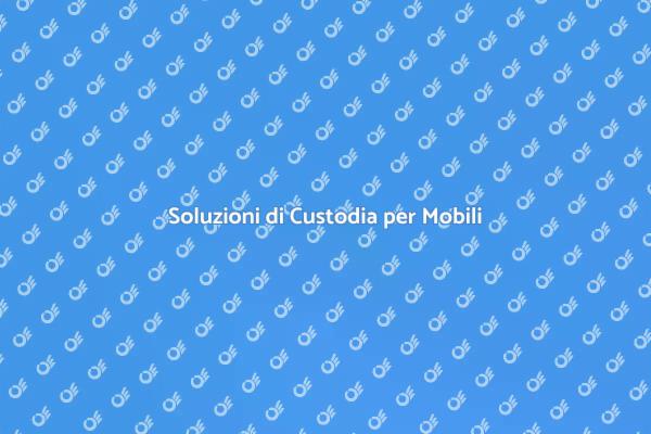 Custodia e Deposito Mobili Efficace