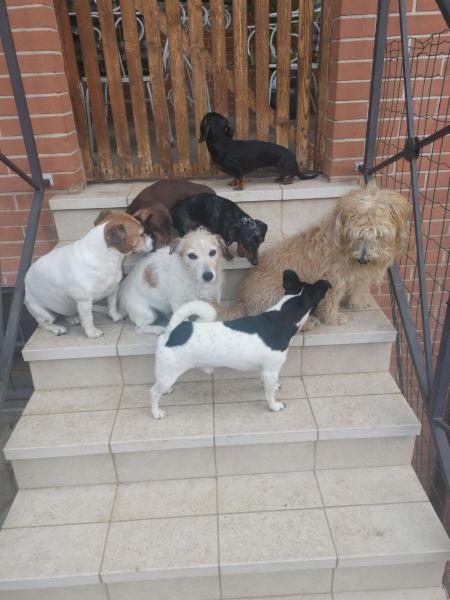 Giulio Paolo Alberto Vitulli - Foto 15