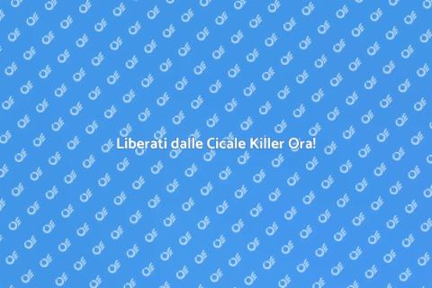 Sterminare le Cicale Killer Efficacemente