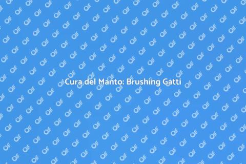 Brushing Professionale per Gatti