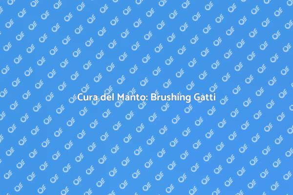 Brushing per Gatti: Salute e Bellezza