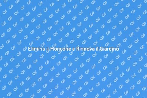 Rimozione Moncone per Giardino Perfetto