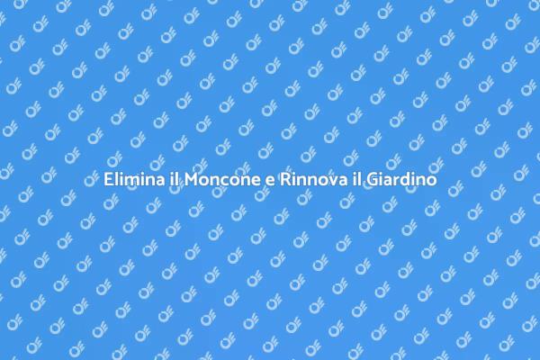 Rimozione Moncone: Giardino in Sicurezza