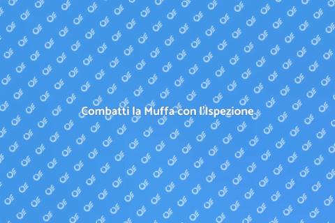 Ispezione della Muffa: Scopri come