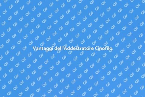 Assumere un Addestratore Cinofilo