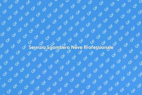 Sgombero Neve Affidabile in Città