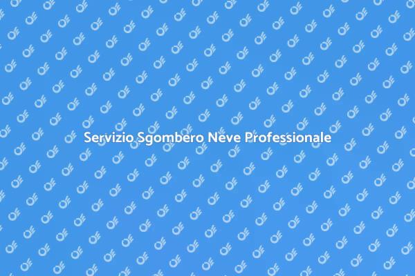 Sgombero Neve: Sicurezza Invernale Garantita