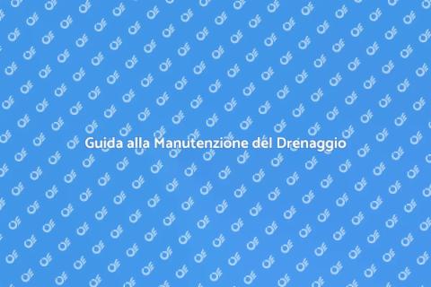 Manutenzione Drenaggio Casa: Guida Essenziale