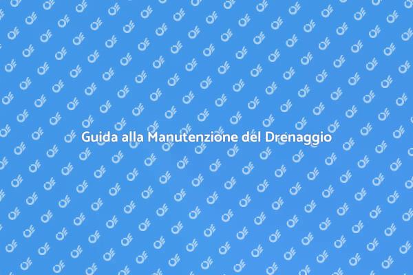 Manutenzione del Drenaggio: Cosa Sapere