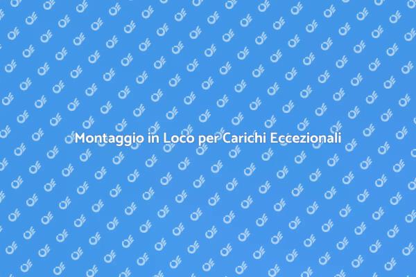 Trasporto Professionale di Carichi Eccezionali