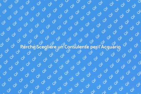 Consulente per l'Acquario: Scopri di più