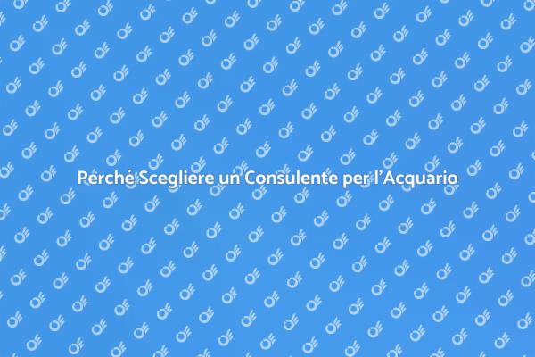 Il Ruolo Fondamentale del Consulente per l'Acquario