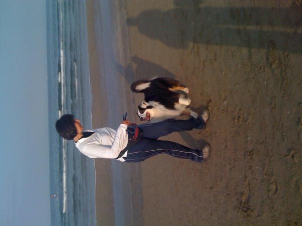 Lauretta Vicari Smiling Dogs - Foto 4
