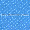 Installazione Caldaia: Guida Completa