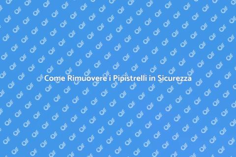 Rimozione dei Pipistrelli in Casa