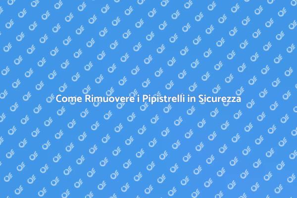 Pipistrelli: Come Affrontare il Problema