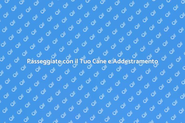 Migliora il Dog Walking con l'Addestramento
