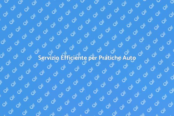 Gestione Pratiche Auto Efficiente