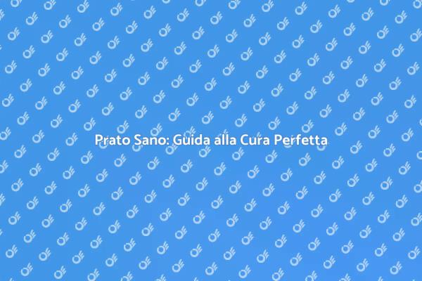 Come Mantenere un Prato Sano