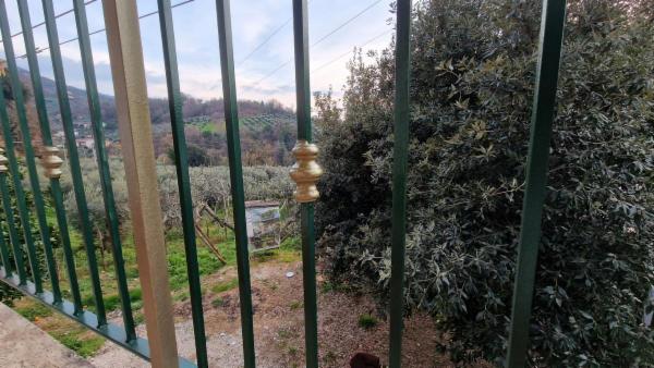 Emanuele F. - Foto 11