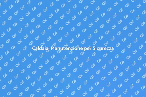 Manutenzione Caldaia per la Sicurezza