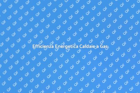 Controllo Efficienza Energetica Caldaia