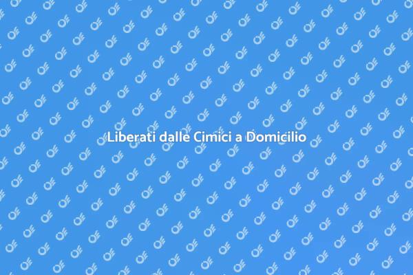 Cimici? Ecco come eliminarle!