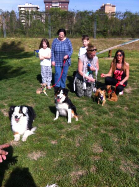 Lauretta Vicari Smiling Dogs - Foto 6