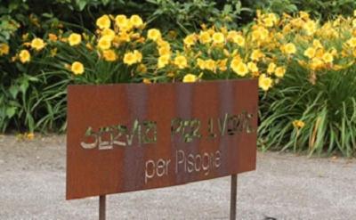 Servizi per Il Verde - Spazio Verde Vivai  - Foto 2