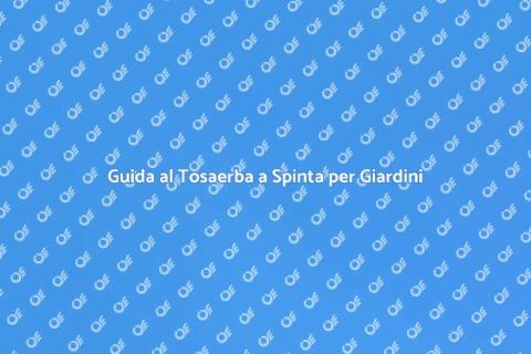 Tosaerba a Spinta per Prati Piccoli