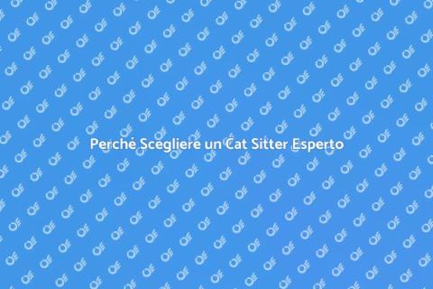 Cat Sitter per Gatti con Routine