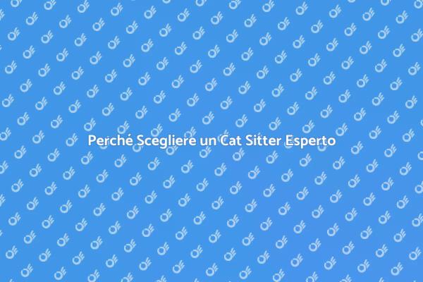 Cat Sitter: La Scelta Perfetta per Gatti