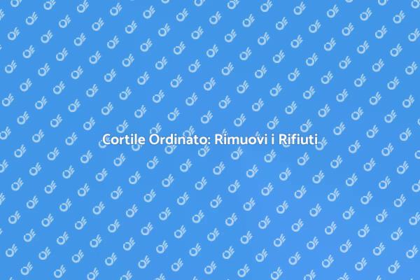 Rifiuti nel Cortile? Ecco Come Rimuoverli