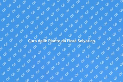 Manutenzione Piante da Fiore Selvatico