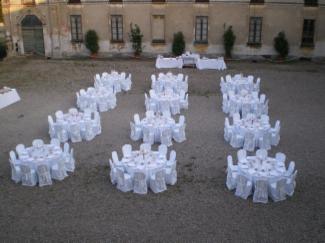 SIlvia F. - Foto 4