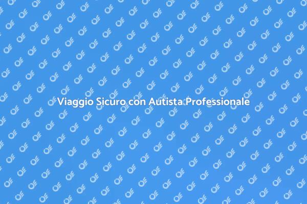 Trasporti Sicuri con Autista Esperto