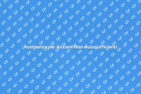 Consulenza per Anziani Non Autosufficienti