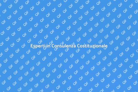 Consulenza Esperto in Costituzione