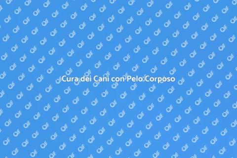 Toelettatura per Cani con Pelo Corposo