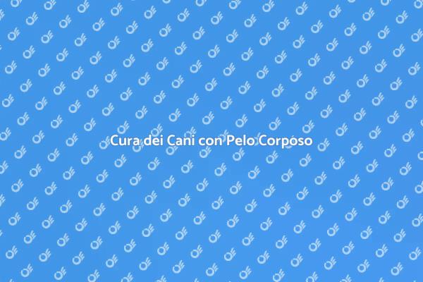 Toelettatura Professionale per Cani