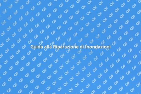 Riparazione Danni da Inondazione
