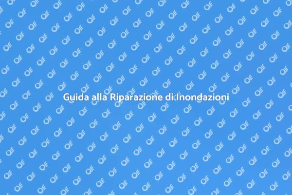 Come Affrontare i Danni da Inondazione