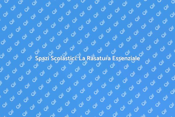 Ristrutturazione Scolastica: Spazi Funzionali