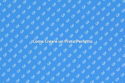 Piantare un Nuovo Prato da Sogno