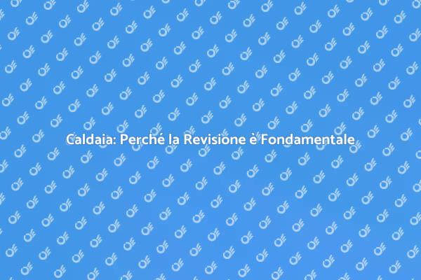 Riscopri il Calore: Revisiona la Caldaia