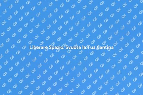 Svuotare Cantine in Modo Professionale