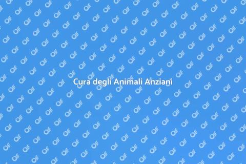 Assistenza per Animali Anziani