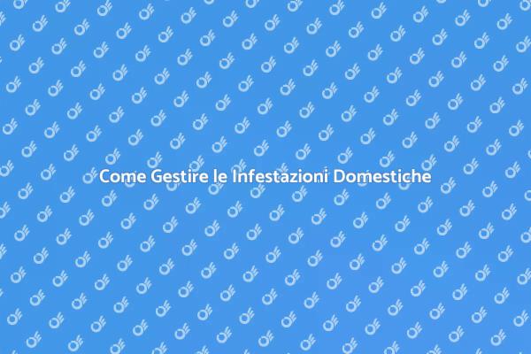 Soluzioni Efficaci per Infestazioni