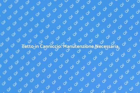 Manutenzione Tetto in Canniccio